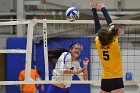 Wheaton Women's Volleyball  Wheaton Women's Volleyball vs Smith College. - Photo by Keith Nordstrom : Wheaton, Volleyball, Smith